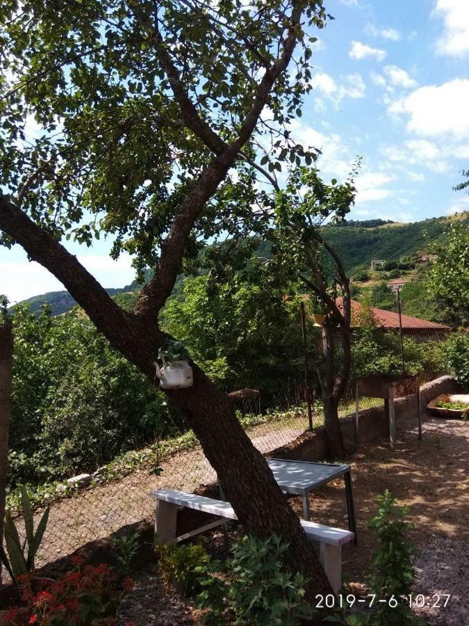 Nnn Guest House Goris Exterior foto